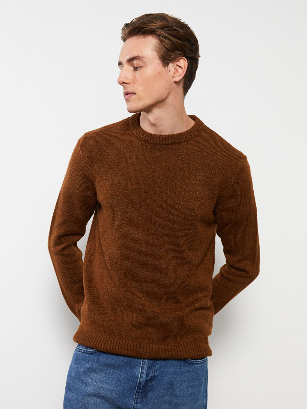 Мужской трикотажный свитер с круглым вырезом и длинными рукавами LCW Casual, Коричневый
Мужской трикотажный свитер с круглым вырезом и длинными рукавами LCW Casual, Коричневый