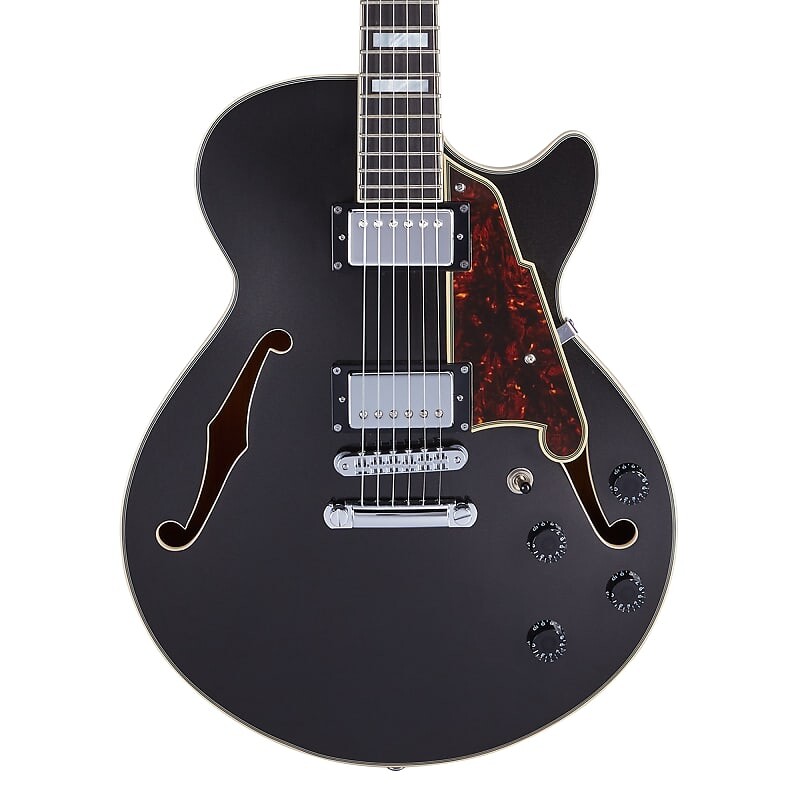 Электрогитара D'Angelico Premier SS - Black Flake Single Cutaway w/ stop-bar tailpiece w/Gig Bag
Электрогитара D'Angelico Premier SS - Black Flake Single Cutaway w/ stop-bar tailpiece w/Gig Bag