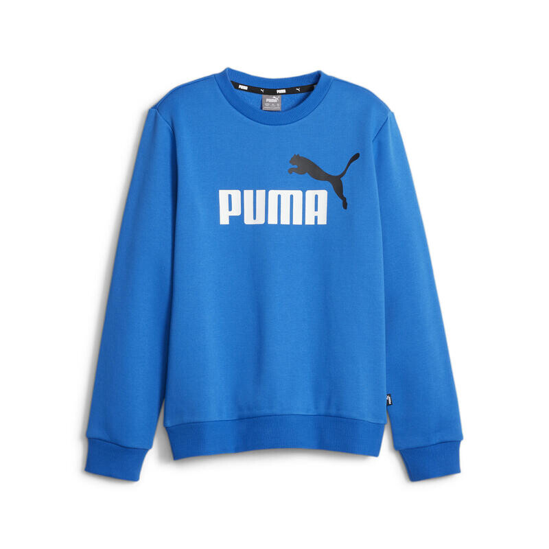 Двухцветная толстовка с большим логотипом Essentials+ для мальчиков PUMA Racing Blue
Двухцветная толстовка с большим логотипом Essentials+ для мальчиков PUMA Racing Blue