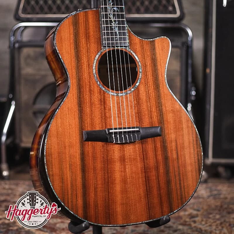Акустическая гитара Taylor PS14ce-N Honduran Rosewood/Sinker Redwood with Hardshell Case
Акустическая гитара Taylor PS14ce-N Honduran Rosewood/Sinker Redwood with Hardshell Case