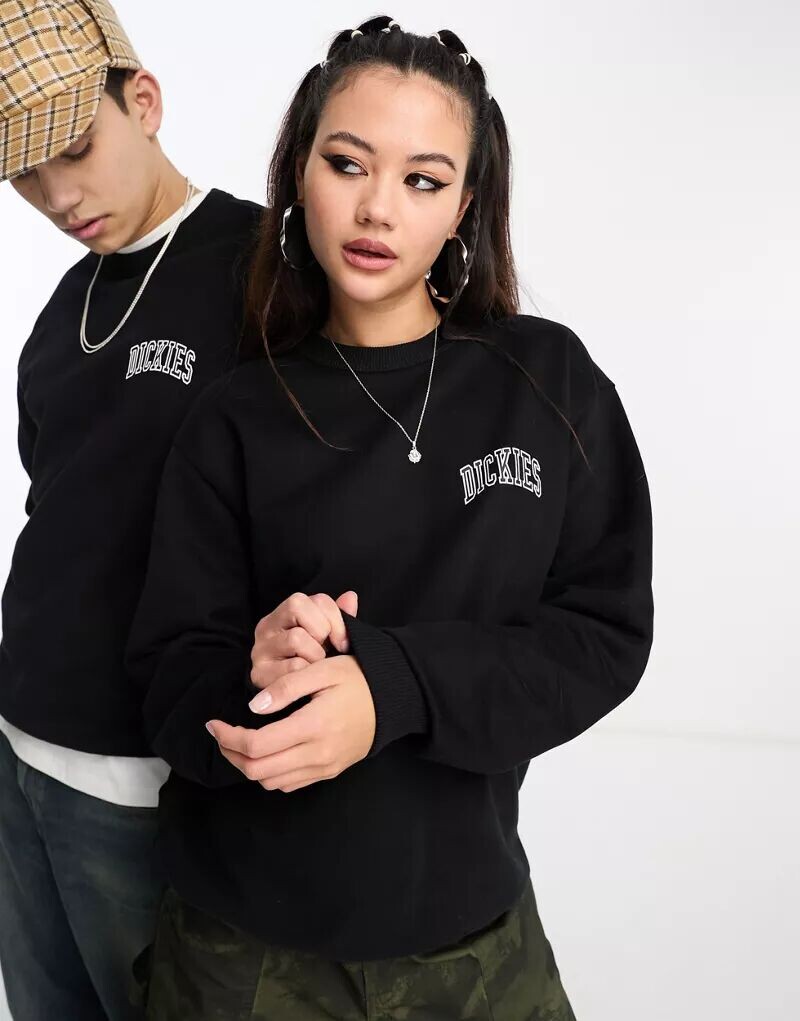 Черная толстовка Dickies Aitkin с логотипом на левой стороне груди, эксклюзивно для ASOS
Черная толстовка Dickies Aitkin с логотипом на левой стороне груди, эксклюзивно для ASOS