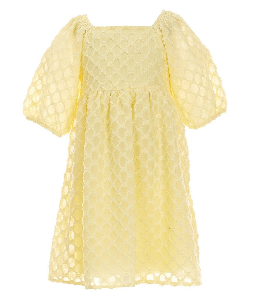 Текстурированное платье Babydoll с клипсами в горошек Xtraordinary для больших девочек 7–16 лет, желтый
Текстурированное платье Babydoll с клипсами в горошек Xtraordinary для больших девочек 7–16 лет, желтый