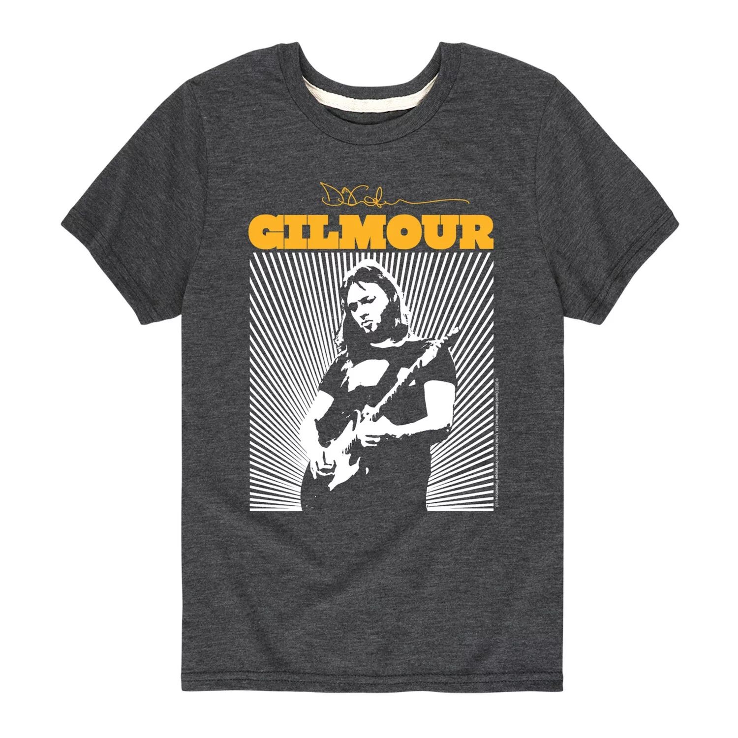 Футболка David Gilmour Burst Music для мальчиков 8–20 лет Licensed Character, серый
Футболка David Gilmour Burst Music для мальчиков 8–20 лет Licensed Character, серый