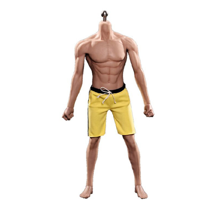 Тело для коллекционной фигурки Phicen TBLeague M32 1/6 Super flexible Asia Male, 30 см
Тело для коллекционной фигурки Phicen TBLeague M32 1/6 Super flexible Asia Male, 30 см
