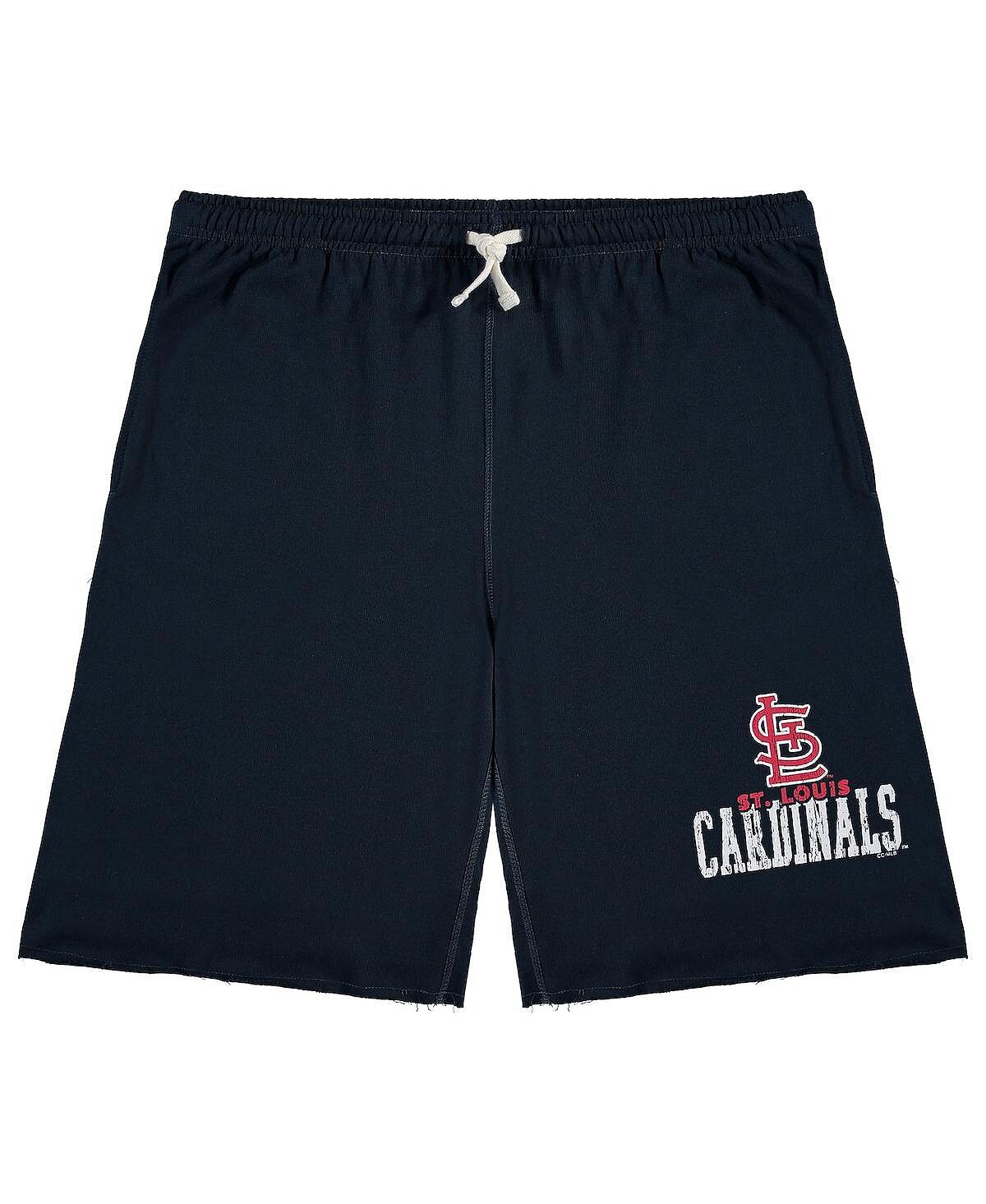 Мужские темно-синие шорты st. louis cardinals big and tall french terry shorts Profile, синий
Мужские темно-синие шорты st. louis cardinals big and tall french terry shorts Profile, синий