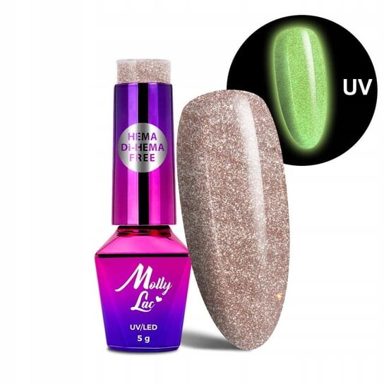 Магнитный гибридный лак для ногтей 4 в 1, 5 г Molly Lac, 670 Night Glowing Suede Free
Магнитный гибридный лак для ногтей 4 в 1, 5 г Molly Lac, 670 Night Glowing Suede Free