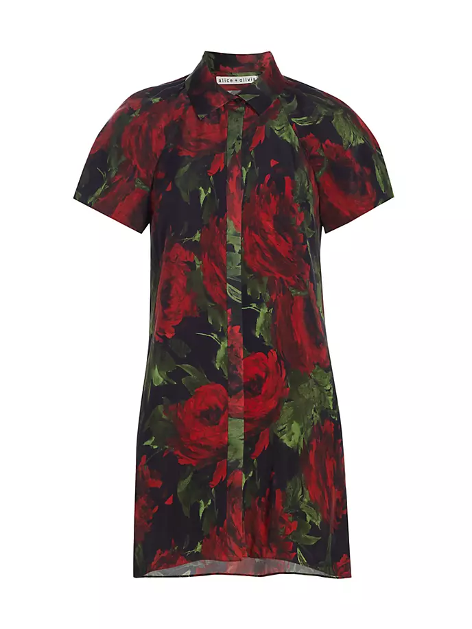 Мини-платье Jem с пышными рукавами и цветочным принтом Alice + Olivia, цвет cloud floral bordeaux
Мини-платье Jem с пышными рукавами и цветочным принтом Alice + Olivia, цвет cloud floral bordeaux