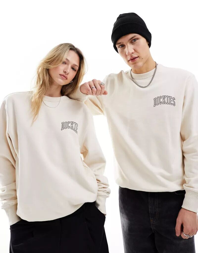 Университетская толстовка Dickies Aitkin с логотипом на левой стороне груди
Университетская толстовка Dickies Aitkin с логотипом на левой стороне груди