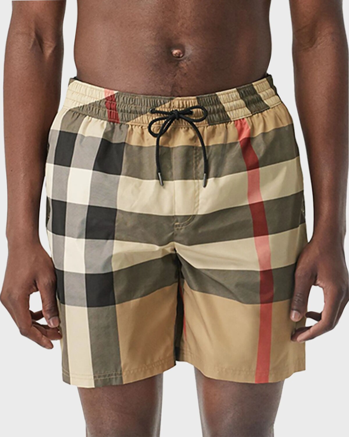 Мужские шорты для плавания в клетку Guildes Vintage Check Burberry, цвет Beige
Мужские шорты для плавания в клетку Guildes Vintage Check Burberry, цвет Beige