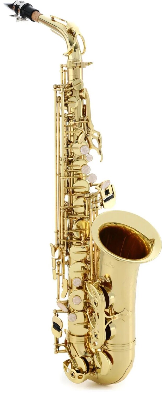 Prelude от студенческого альт-саксофона Selmer AS711 — лак, тональность High F#
Prelude от студенческого альт-саксофона Selmer AS711 — лак, тональность High F#