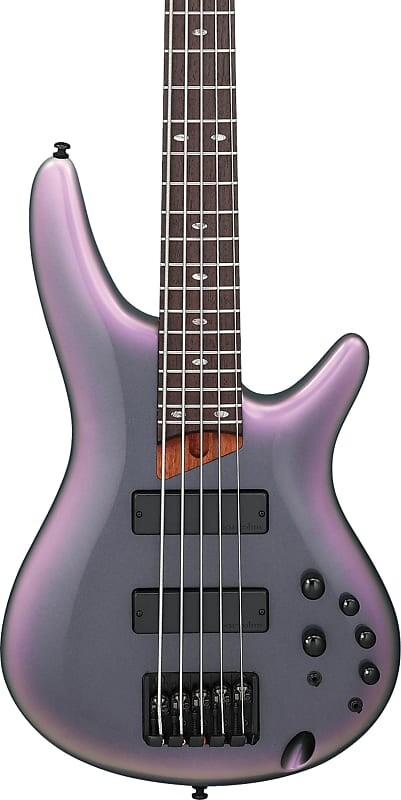 Басс гитара Ibanez SR505E SR Standard 5-String Bass Guitar, Black Aurora Burst
Басс гитара Ibanez SR505E SR Standard 5-String Bass Guitar, Black Aurora Burst