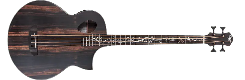 Басс гитара Michael Kelly Dragonfly 4 Port Electric Bass w/ Java Ebony Finish MKD4SJESFS
Басс гитара Michael Kelly Dragonfly 4 Port Electric Bass w/ Java Ebony Finish MKD4SJESFS