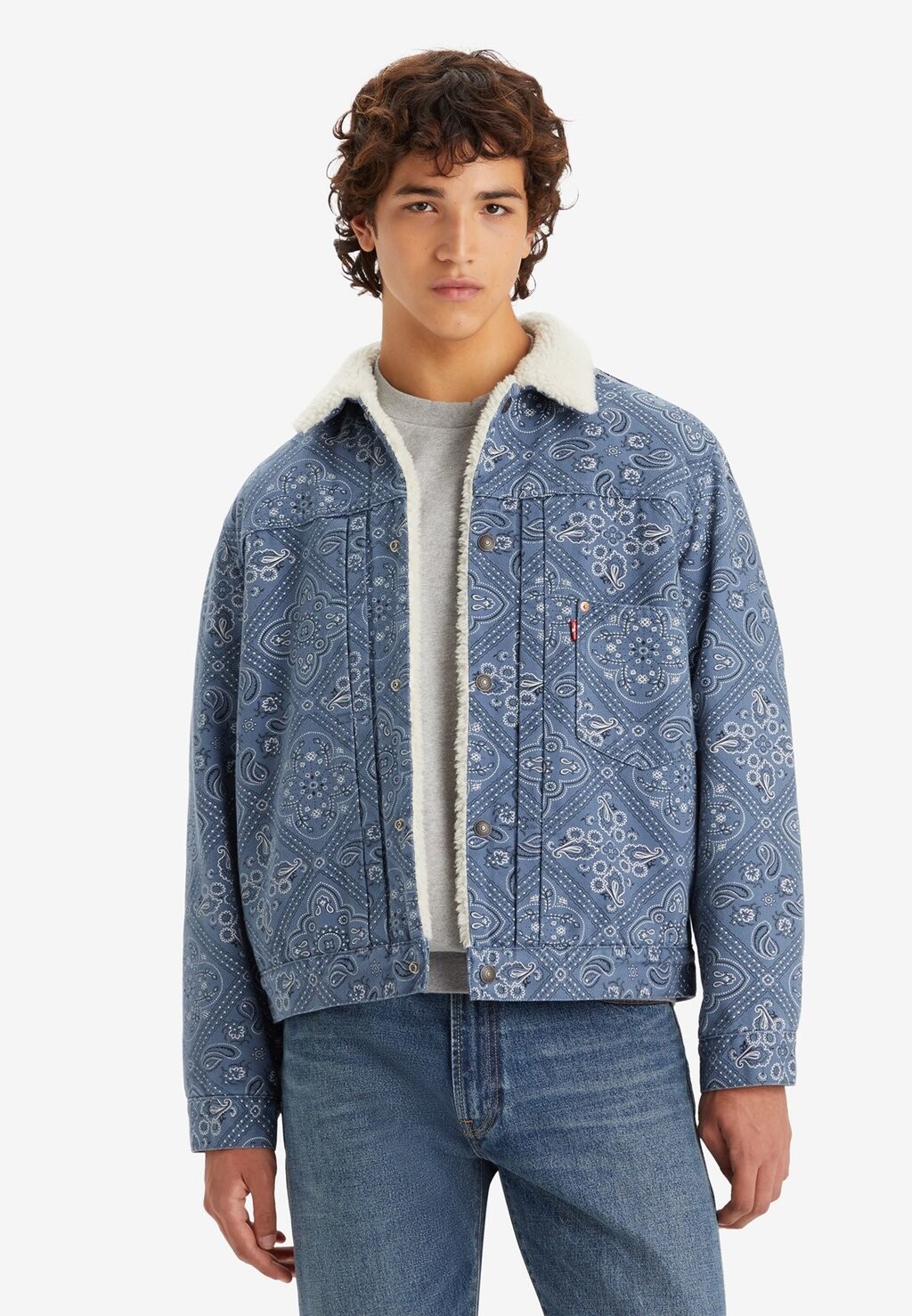 Зимняя куртка Levi's TYPE 1 TRUCKER UNISEX, бандана «Чарли», цвет charlie bandana vintage indigo
Зимняя куртка Levi's TYPE 1 TRUCKER UNISEX, бандана «Чарли», цвет charlie bandana vintage indigo
