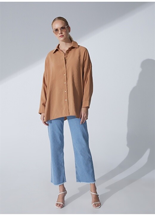 Однотонная коричневая женская рубашка оверсайз с рубашечным воротником Pierre Cardin
Однотонная коричневая женская рубашка оверсайз с рубашечным воротником Pierre Cardin