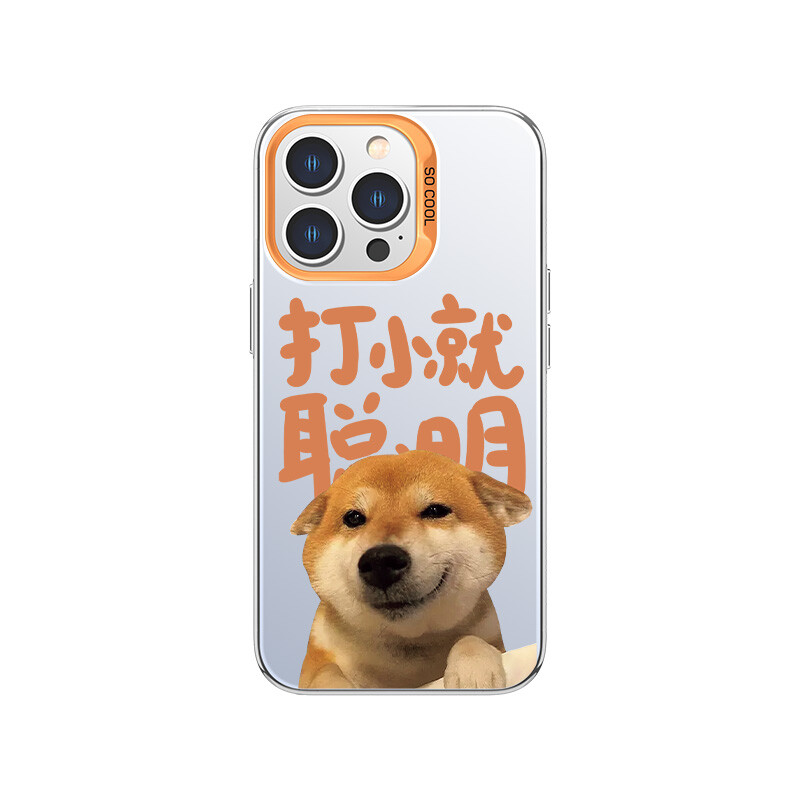Чехол для телефона MSMF Us 10 Cents Msmf, DWFQCY260-Color silver white orange box
Чехол для телефона MSMF Us 10 Cents Msmf, DWFQCY260-Color silver white orange box