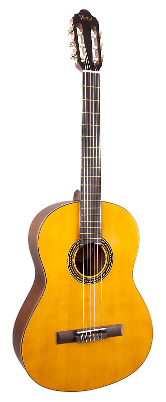 Акустическая гитара Valencia - 200 Series Antique Natural Finish Hybrid Slim Neck Classical! VC204H
Акустическая гитара Valencia - 200 Series Antique Natural Finish Hybrid Slim Neck Classical! VC204H