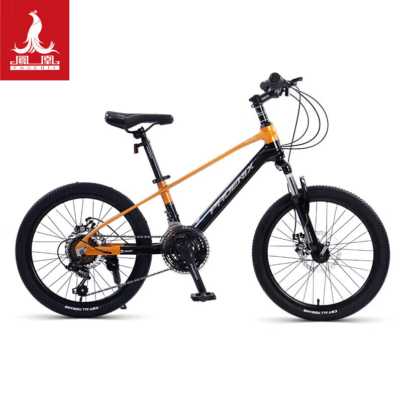 Велосипед Phoenix Shimano Magino 22 дюйма, 21 скорость, черный / зеленый
Велосипед Phoenix Shimano Magino 22 дюйма, 21 скорость, черный / зеленый