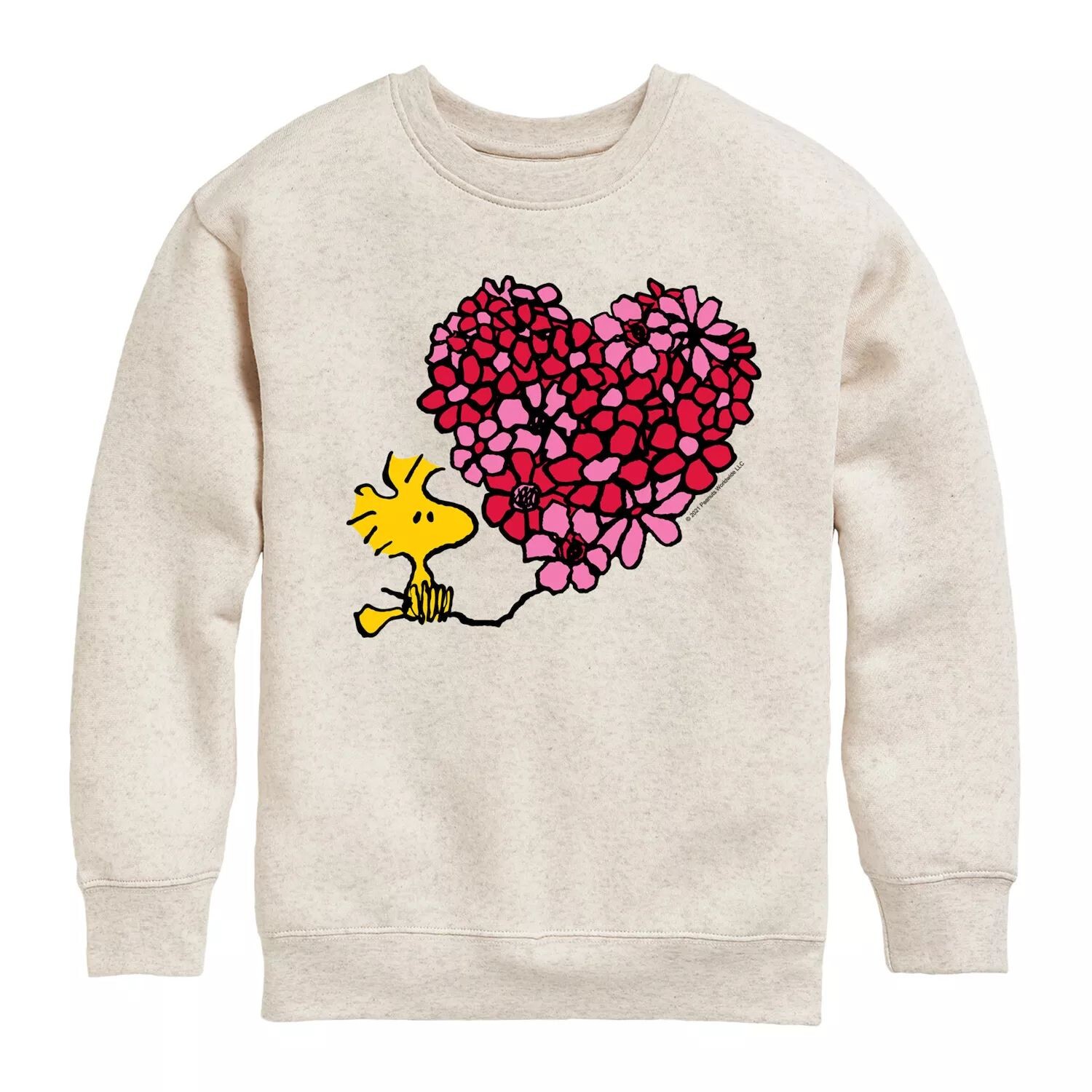 Флисовый свитшот Peanuts Woodstock Heart для мальчиков 8–20 лет Licensed Character
Флисовый свитшот Peanuts Woodstock Heart для мальчиков 8–20 лет Licensed Character