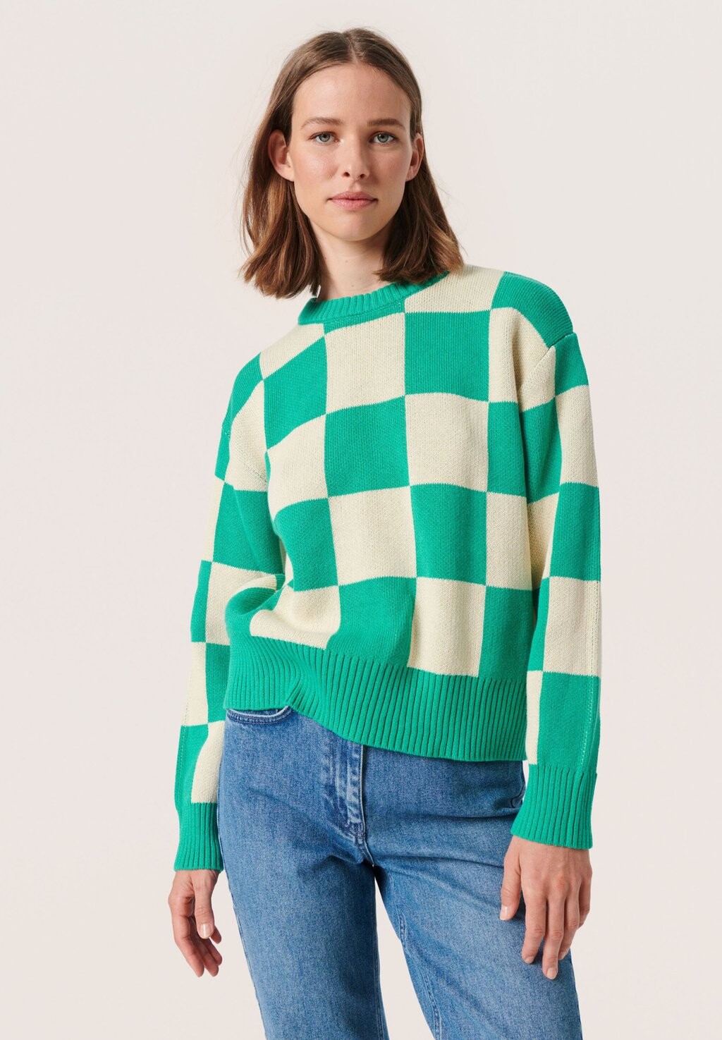 Свитшот Soaked in Luxury ПУЛОВЕР SCUBA LS, цвет sea green and white large chec
Свитшот Soaked in Luxury ПУЛОВЕР SCUBA LS, цвет sea green and white large chec