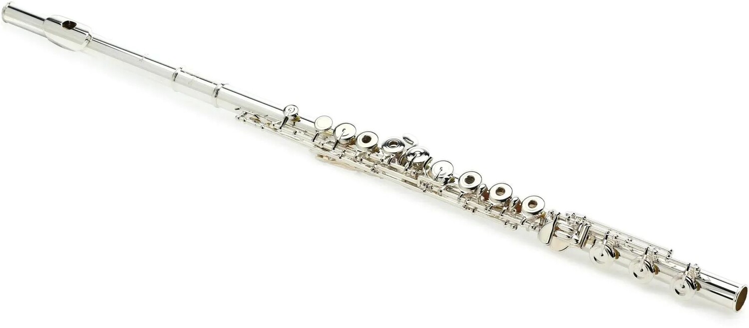 Pearl Flutes 525RBE1RB Промежуточная флейта серии Quantz — серебряная губная пластина и подставка
Pearl Flutes 525RBE1RB Промежуточная флейта серии Quantz — серебряная губная пластина и подставка