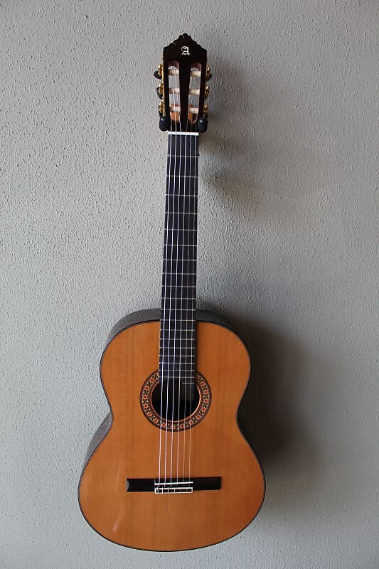 Акустическая гитара Brand New Alhambra 10 Premier Nylon String Classical Guitar
Акустическая гитара Brand New Alhambra 10 Premier Nylon String Classical Guitar