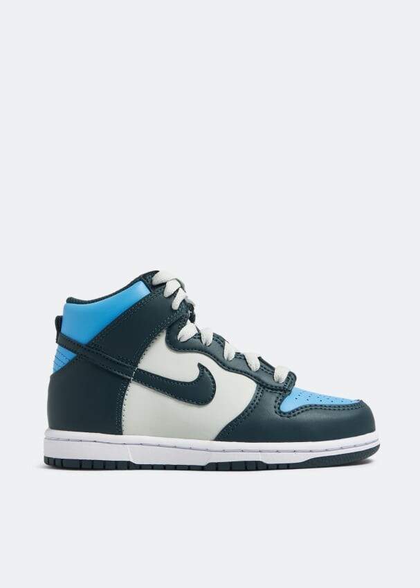 Кроссовки Nike Dunk High, разноцветный
Кроссовки Nike Dunk High, разноцветный