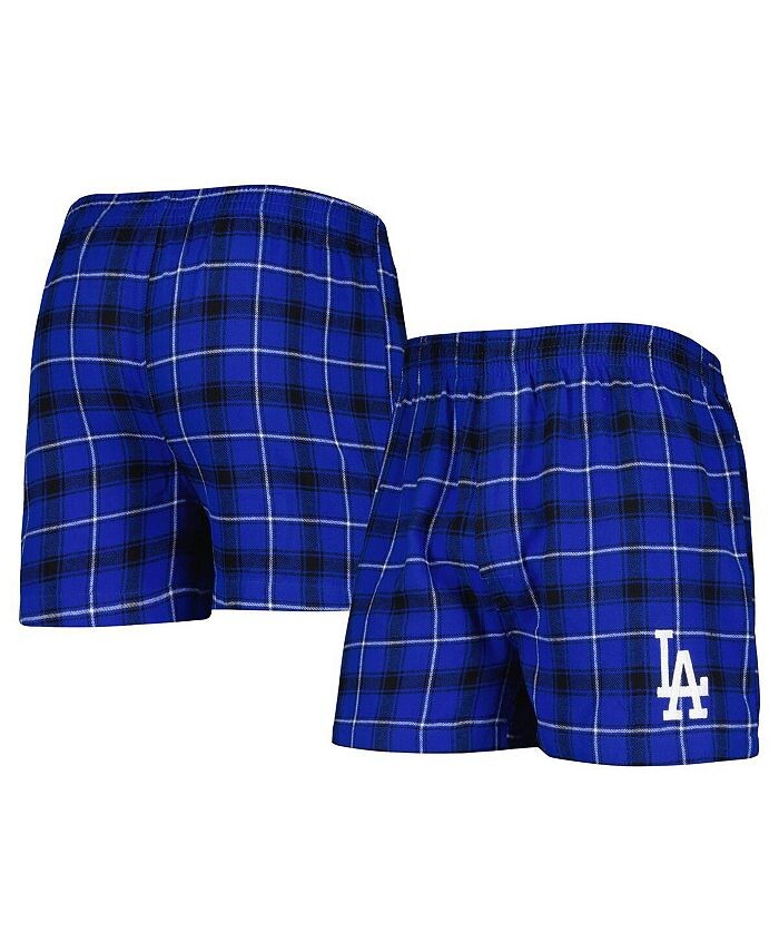 Мужские фланелевые боксеры Los Angeles Dodgers Ledger королевского черного цвета Concepts Sport, синий
Мужские фланелевые боксеры Los Angeles Dodgers Ledger королевского черного цвета Concepts Sport, синий