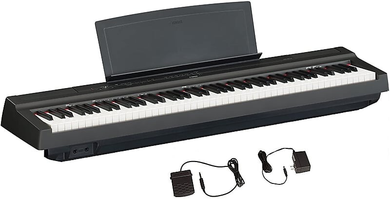 Yamaha P-125B 88-клавишное цифровое пианино черного цвета. В комплекте адаптер питания PA150, пюпитр и педаль сустейна. P125B
Yamaha P-125B 88-клавишное цифровое пианино черного цвета. В комплекте адаптер питания PA150, пюпитр и педаль сустейна. P125B
