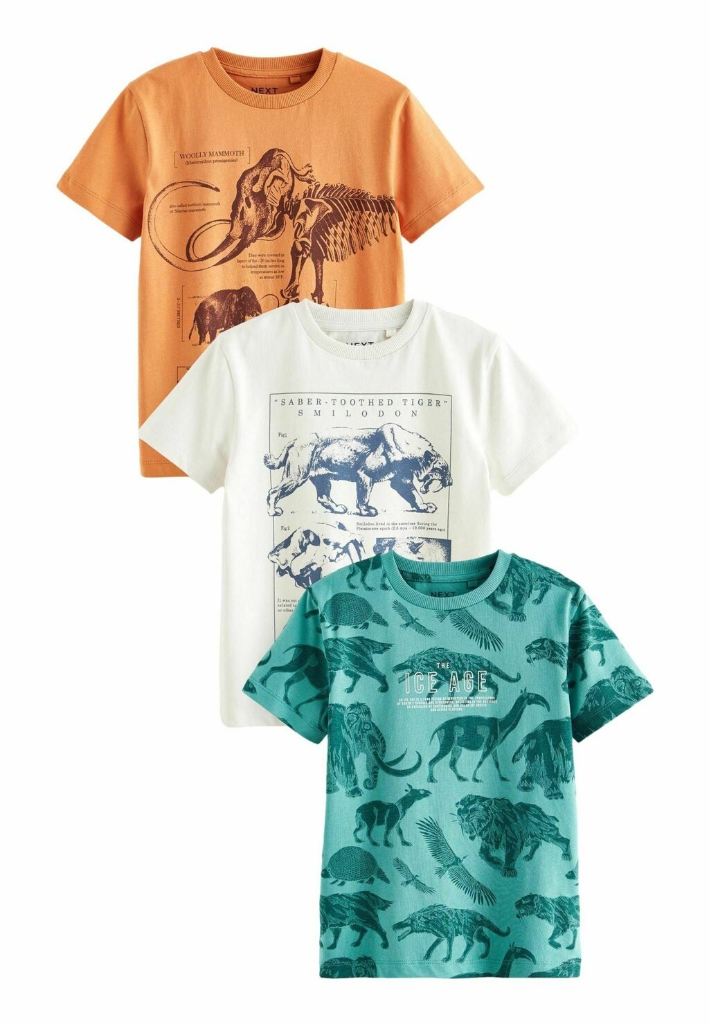 Футболка с принтом SHORT SLEEVE GRAPHIC 3 PACK STANDARD Next, цвет orange teal blue the ice age
Футболка с принтом SHORT SLEEVE GRAPHIC 3 PACK STANDARD Next, цвет orange teal blue the ice age