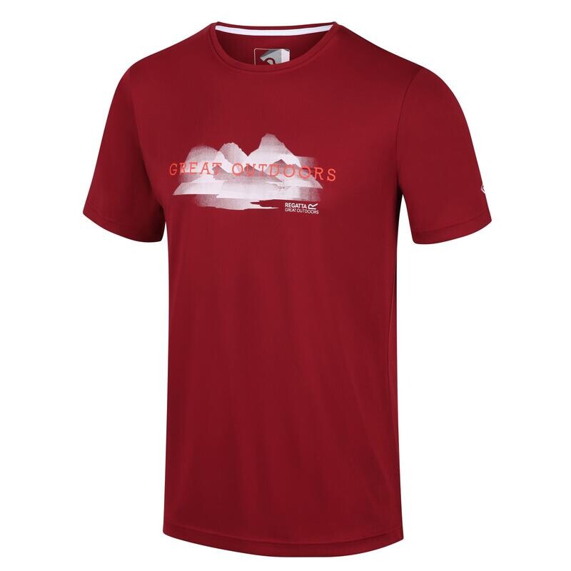 Мужская футболка для фитнеса Fingal V - красная REGATTA, цвет rosa
Мужская футболка для фитнеса Fingal V - красная REGATTA, цвет rosa