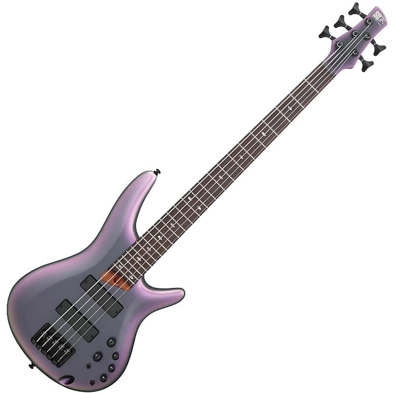 Басс гитара Ibanez SR505E BAB Standard 5-String Electric Bass Guitar, Black Aurora Burst
Басс гитара Ibanez SR505E BAB Standard 5-String Electric Bass Guitar, Black Aurora Burst
