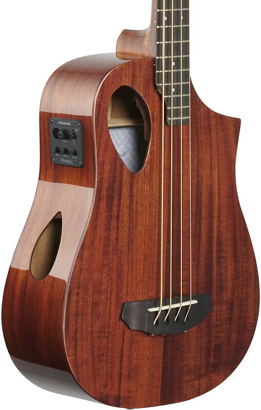 Басс гитара Michael Kelly MKSBSKGOFR Sojourn Port 4-String Travel Acoustic-Electric Bass Guitar w/Gig Bag
Басс гитара Michael Kelly MKSBSKGOFR Sojourn Port 4-String Travel Acoustic-Electric Bass Guitar w/Gig Bag