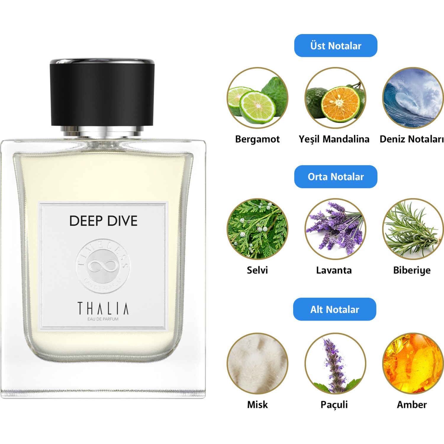 Thalia Timeless Deep Dive Eau De Parfum Men 100 мл заказать из за