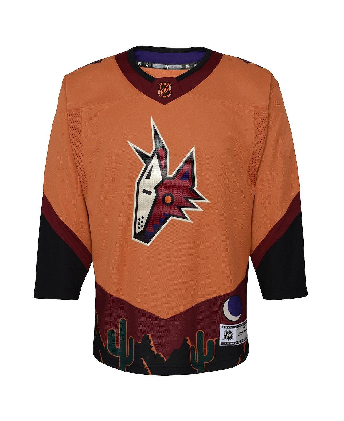 Джерси Big Boys Burnt Orange Arizona Coyotes Special Edition 2.0 Premier Blank Outerstuff
Джерси Big Boys Burnt Orange Arizona Coyotes Special Edition 2.0 Premier Blank Outerstuff
