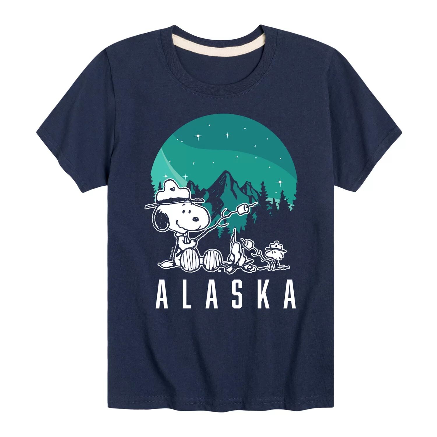 Футболка с рисунком для кемпинга Peanuts Alaska для мальчиков 8–20 лет Licensed Character, синий
Футболка с рисунком для кемпинга Peanuts Alaska для мальчиков 8–20 лет Licensed Character, синий