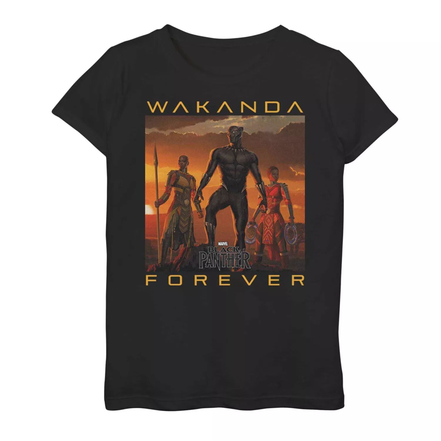Футболка с плакатом Marvel Black Panther Wakanda Forever Trio для девочек 7–16 лет Licensed Character
Футболка с плакатом Marvel Black Panther Wakanda Forever Trio для девочек 7–16 лет Licensed Character