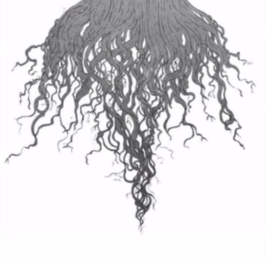Виниловая пластинка Meursault - Crow Hill 
Виниловая пластинка Meursault - Crow Hill