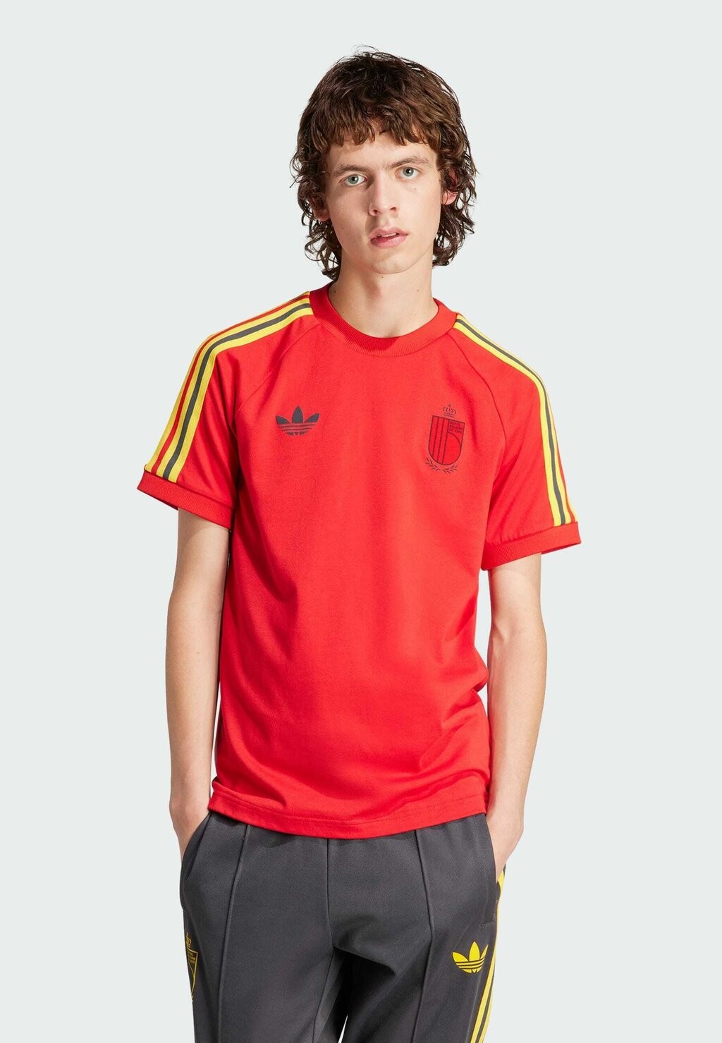 Спортивная футболка Belgium Rbfa Og 3 Stripe adidas Originals, цвет better scarlet
Спортивная футболка Belgium Rbfa Og 3 Stripe adidas Originals, цвет better scarlet