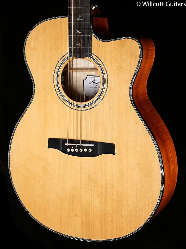 Топ PRS SE AE50E из ситкинской ели, черное золото (663) SE AE50E Sitka Spruce Top (663)
Топ PRS SE AE50E из ситкинской ели, черное золото (663) SE AE50E Sitka Spruce Top (663)