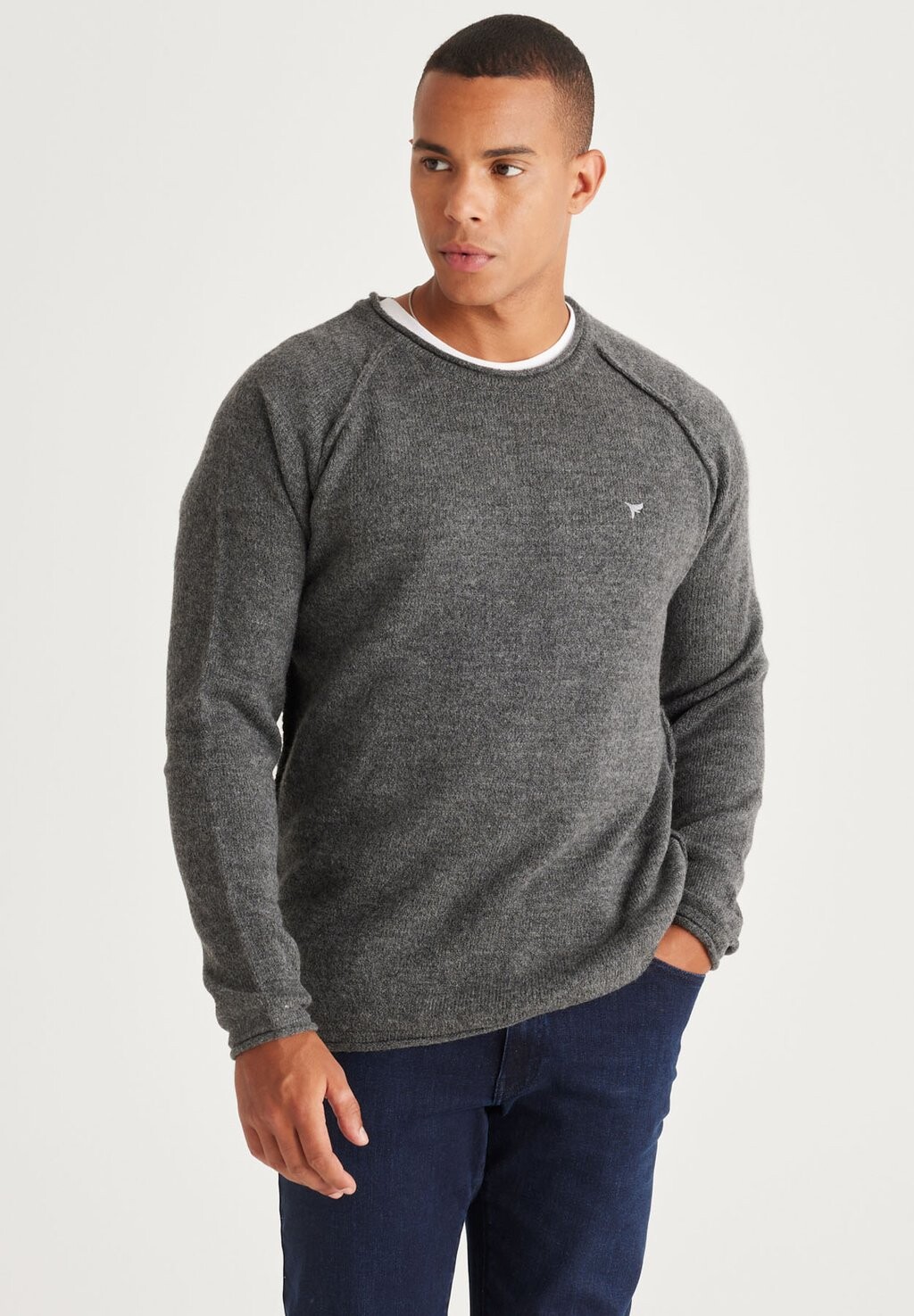 Вязаный свитер STANDARD FIT AC&CO / ALTINYILDIZ CLASSICS, цвет Standard Fit Knitwear O Collar
Вязаный свитер STANDARD FIT AC&CO / ALTINYILDIZ CLASSICS, цвет Standard Fit Knitwear O Collar