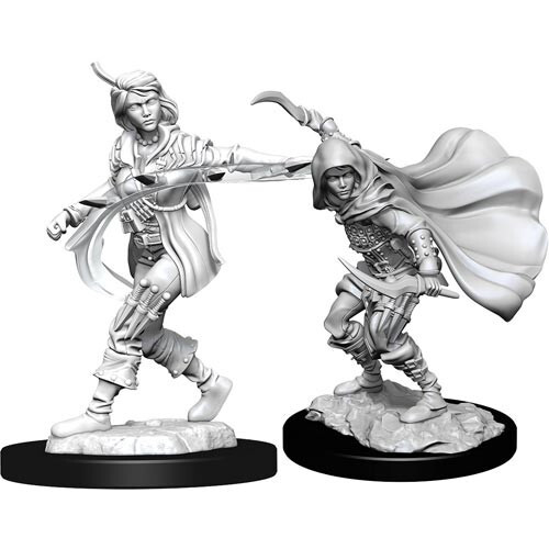Миниатюра WizKids/NECA Pathfinder Battles Deep Cuts Unpainted Minis: W14 Female Human Rogue
Миниатюра WizKids/NECA Pathfinder Battles Deep Cuts Unpainted Minis: W14 Female Human Rogue