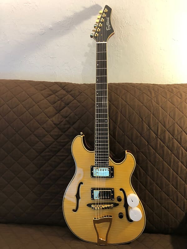 Электрогитара Eastwood CLASSIC 6 TA PH Double Cutaway Design Compact Fully Hollow 6-String Electric Guitar w/Hardshell Case
Электрогитара Eastwood CLASSIC 6 TA PH Double Cutaway Design Compact Fully Hollow 6-String Electric Guitar w/Hardshell Case