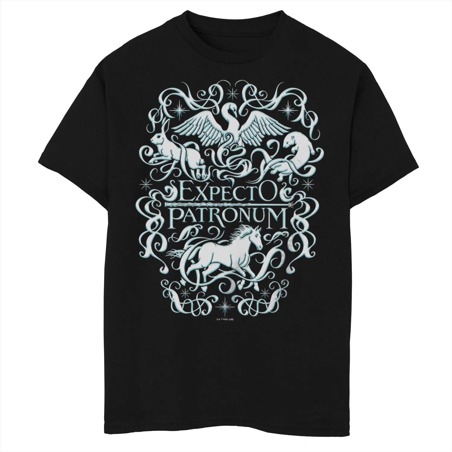Футболка Expecto Patronum для мальчиков 8–20 лет с Гарри Поттером Licensed Character
Футболка Expecto Patronum для мальчиков 8–20 лет с Гарри Поттером Licensed Character