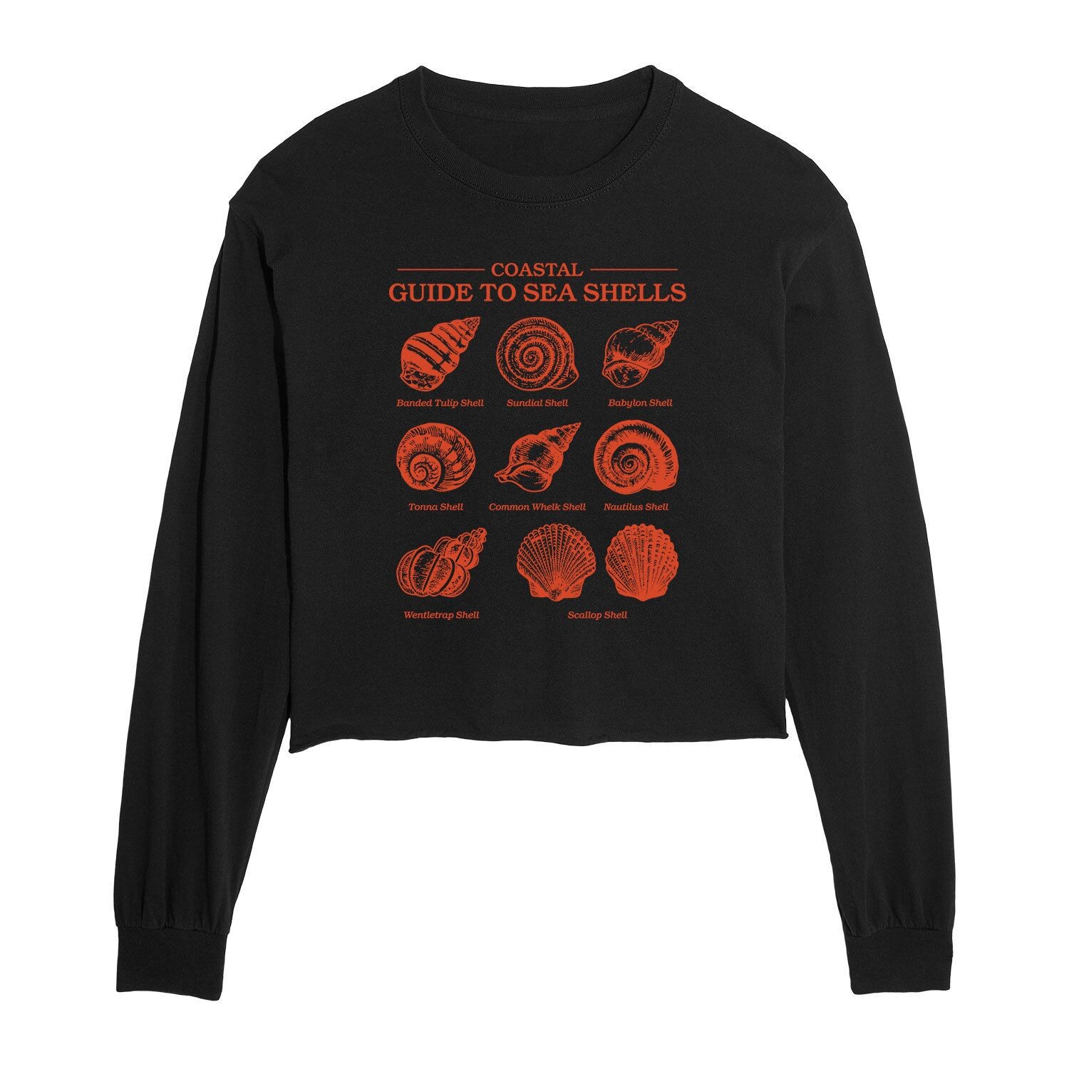 Укороченная футболка с рисунком Coastal Guide to Sea Shells для юниоров Licensed Character
Укороченная футболка с рисунком Coastal Guide to Sea Shells для юниоров Licensed Character