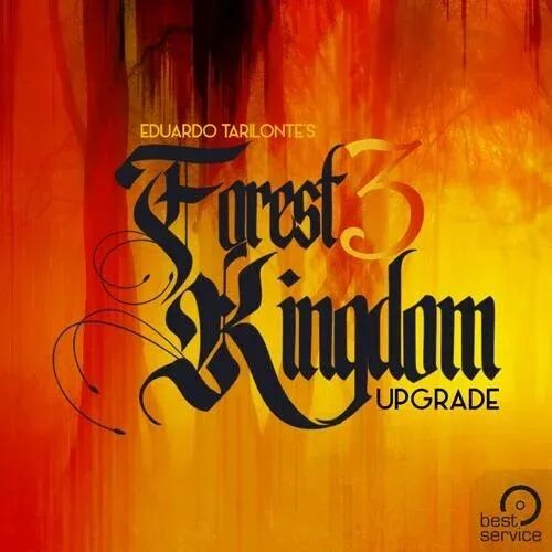 Best Service Forest Kingdom 3 — обновление из любой библиотеки Лесного королевства
Best Service Forest Kingdom 3 — обновление из любой библиотеки Лесного королевства