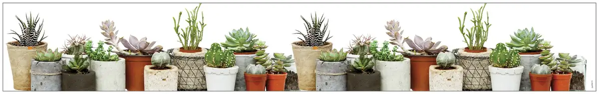 Оконная пленка MySpotti "Look Succulents", полупрозрачная, гладкая, статически клейкая, 200 х 30 см, статически клейкая 30х200 см, зеленый/коричневый/бежевый
Оконная пленка MySpotti "Look Succulents", полупрозрачная, гладкая, статически клейкая, 200 х 30 см, статически клейкая 30х200 см, зеленый/коричневый/бежевый