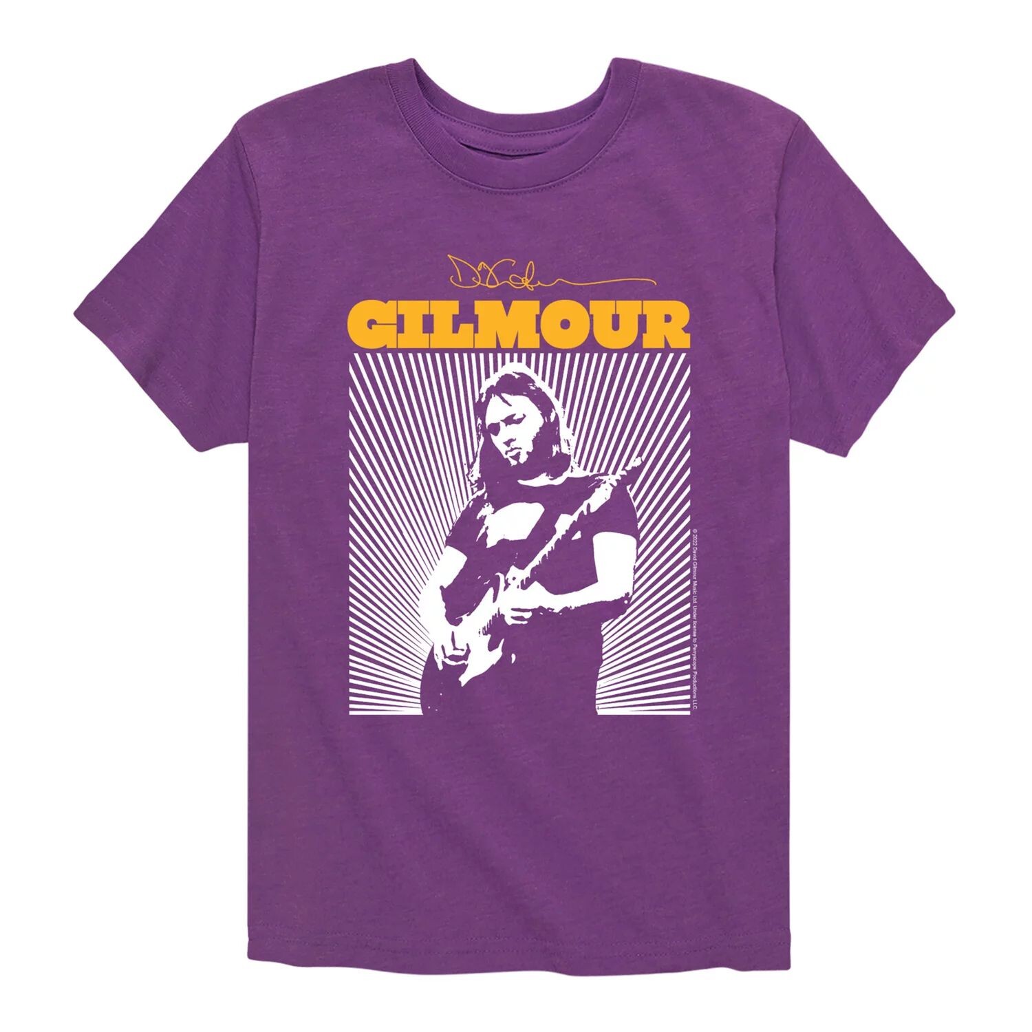 Футболка David Gilmour Burst Music для мальчиков 8–20 лет Licensed Character, фиолетовый
Футболка David Gilmour Burst Music для мальчиков 8–20 лет Licensed Character, фиолетовый
