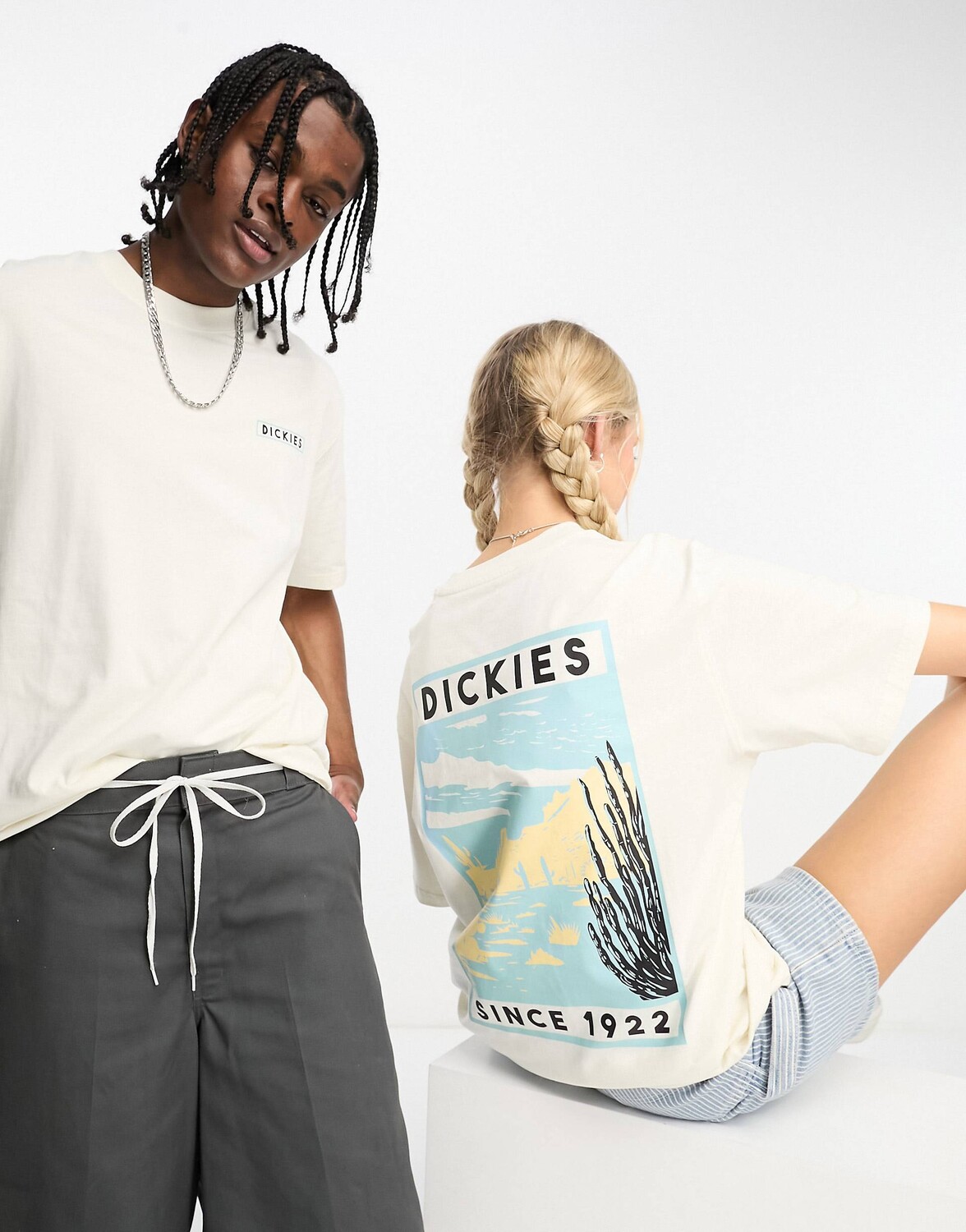 Белая футболка унисекс с принтом гор на спине Dickies North Plains эксклюзивно для ASOS, Белый
Белая футболка унисекс с принтом гор на спине Dickies North Plains эксклюзивно для ASOS, Белый