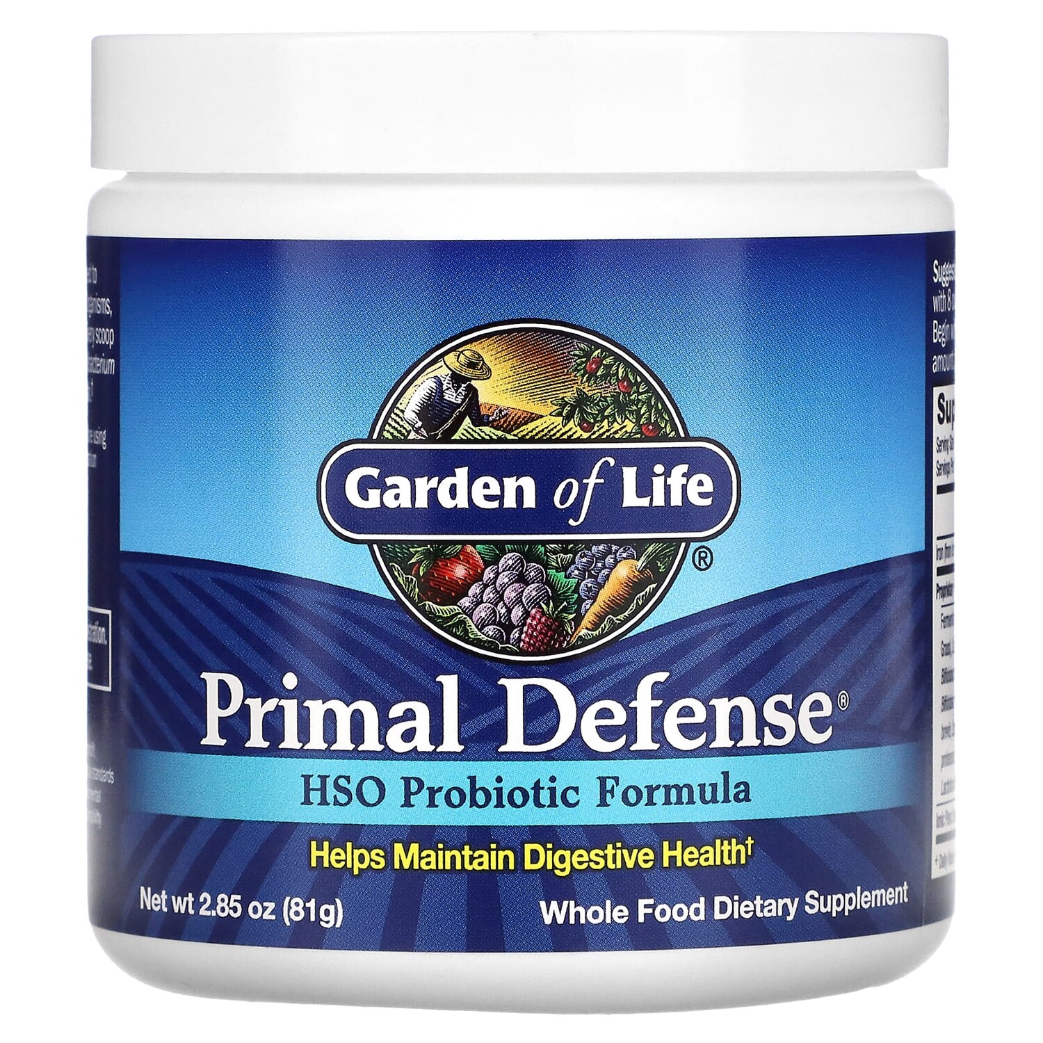 Primal Defense, порошок, формула с пробиотиком HSO, 81 г (2,85 унции), Garden of Life
Primal Defense, порошок, формула с пробиотиком HSO, 81 г (2,85 унции), Garden of Life