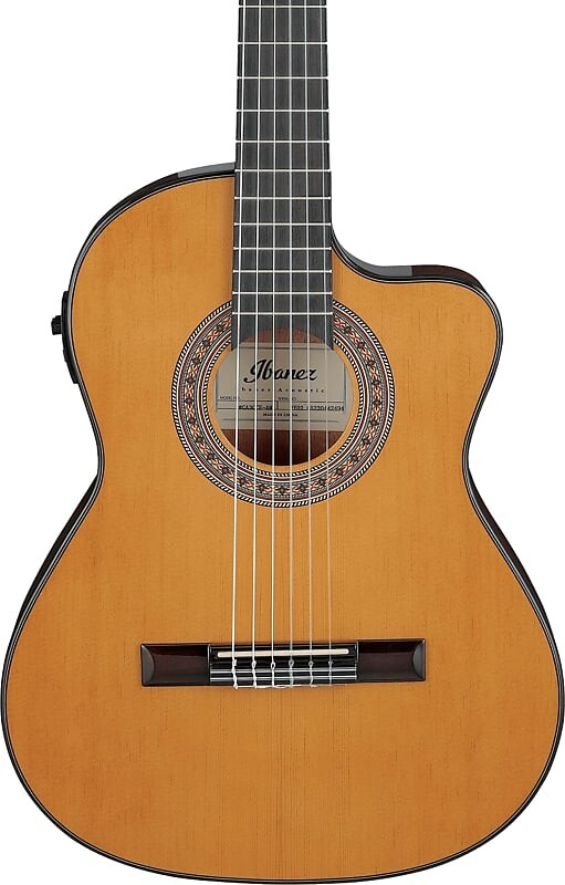Акустическая гитара Ibanez GA5TCE3Q 3/4 Size Thinline Classical Acoustic-Electric Guitar, Amber
Акустическая гитара Ibanez GA5TCE3Q 3/4 Size Thinline Classical Acoustic-Electric Guitar, Amber